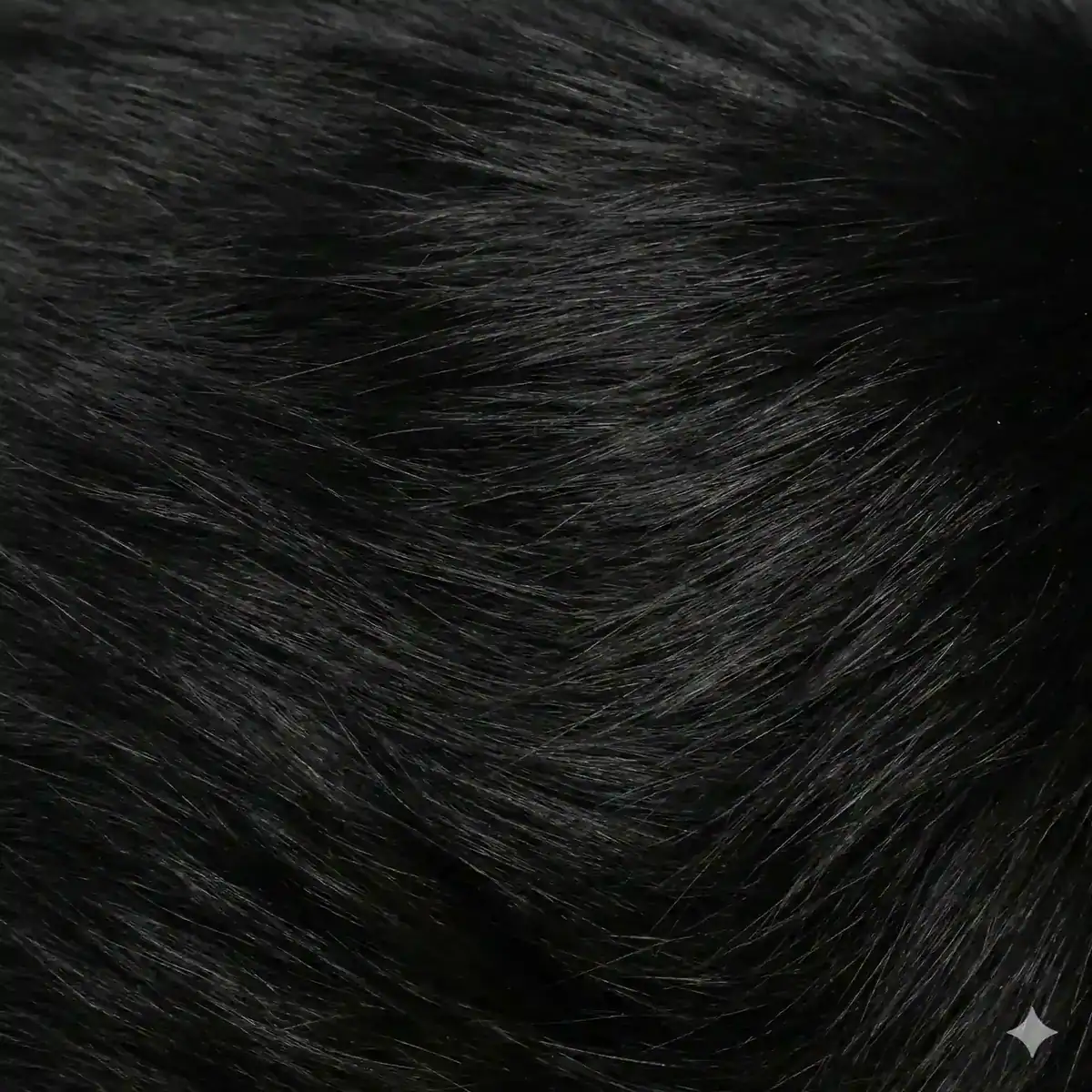 Maine Coon Color Calculator 1 Black solid Maine Coon fur texture showing dense pure black long hair