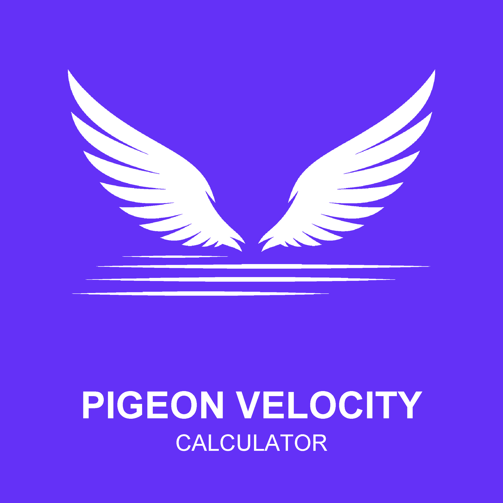 Pigeon Velocity Calculator