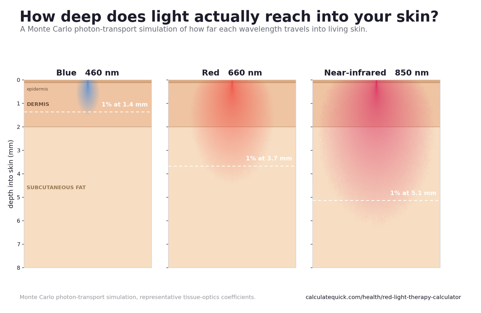 Red Light Therapy Calculator 1 Simulated skin cross-sections showing blue 460nm light stopping in the upper dermis, red 660nm reaching deeper, and near-infrared 850nm penetrating into subcutaneous fat.